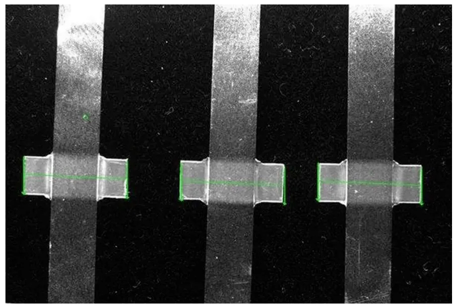 電池極片回收 (4)